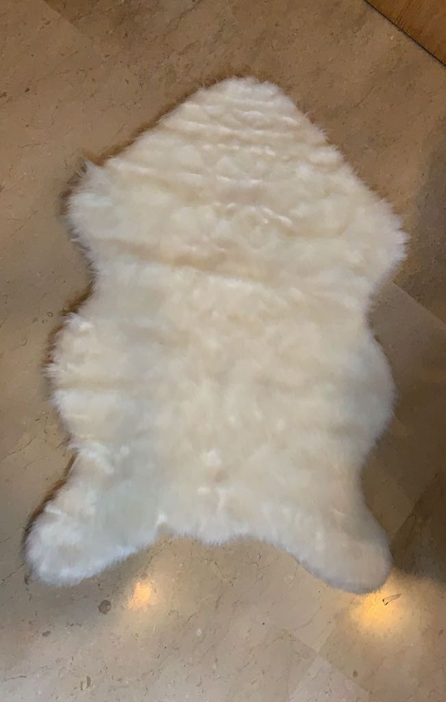 Genuine White Animal Skin Rugs, Hobbies & Toys, Memorabilia