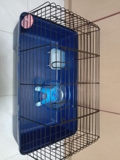 (Category: ) located in . Submitted by hamstersrcute (Listing ID 1152825728, Image 1). Description: .