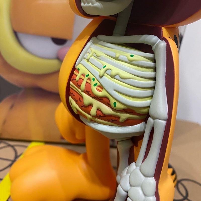 現貨」正版Mighty Jaxx XXRAY 加菲貓半剖Garfield 公仔玩具figure