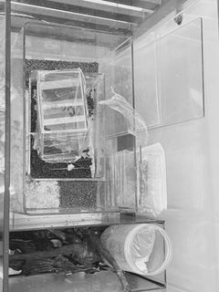 (Category: ) located in . Submitted by since1991 (Listing ID 1152796180, Image 1). Description: .
