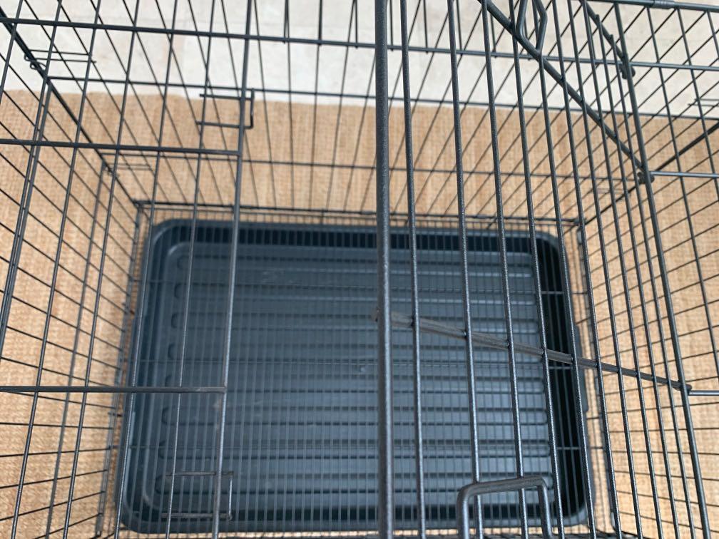 Big dog cage, Pet Supplies, Homes & Other Pet Accessories on Carousell