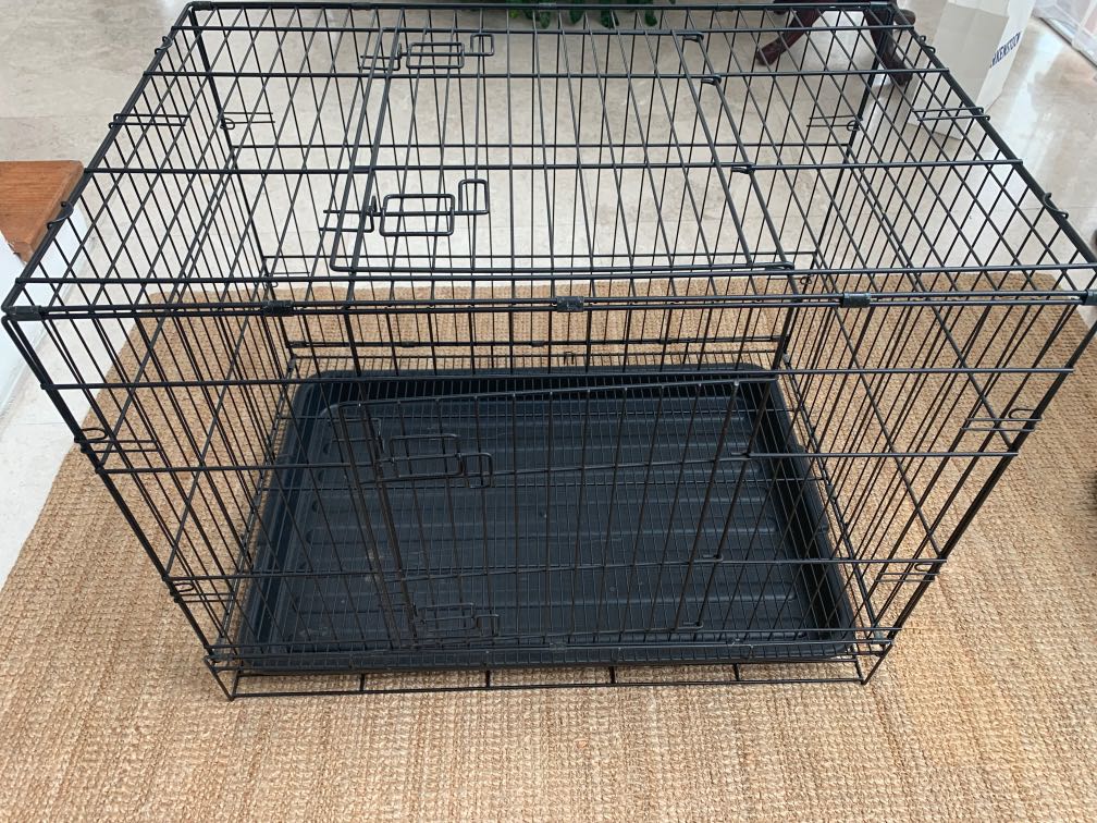 Big dog cage, Pet Supplies, Homes & Other Pet Accessories on Carousell