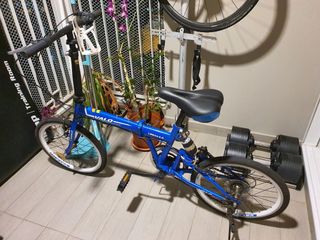 (Category: ) located in . Submitted by jmval285 (Listing ID 1152780535, Image 1). Description: .
