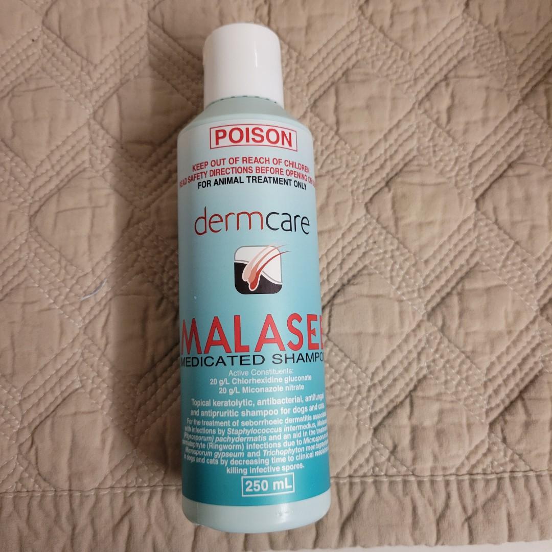 Dermcare Malaseb Shampoo 250mL, 寵物用品, 寵物衣服 Carousell