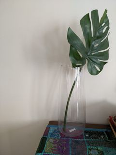(Category: ) located in . Submitted by raakhee2019 (Listing ID 1152869334, Image 1). Description: .