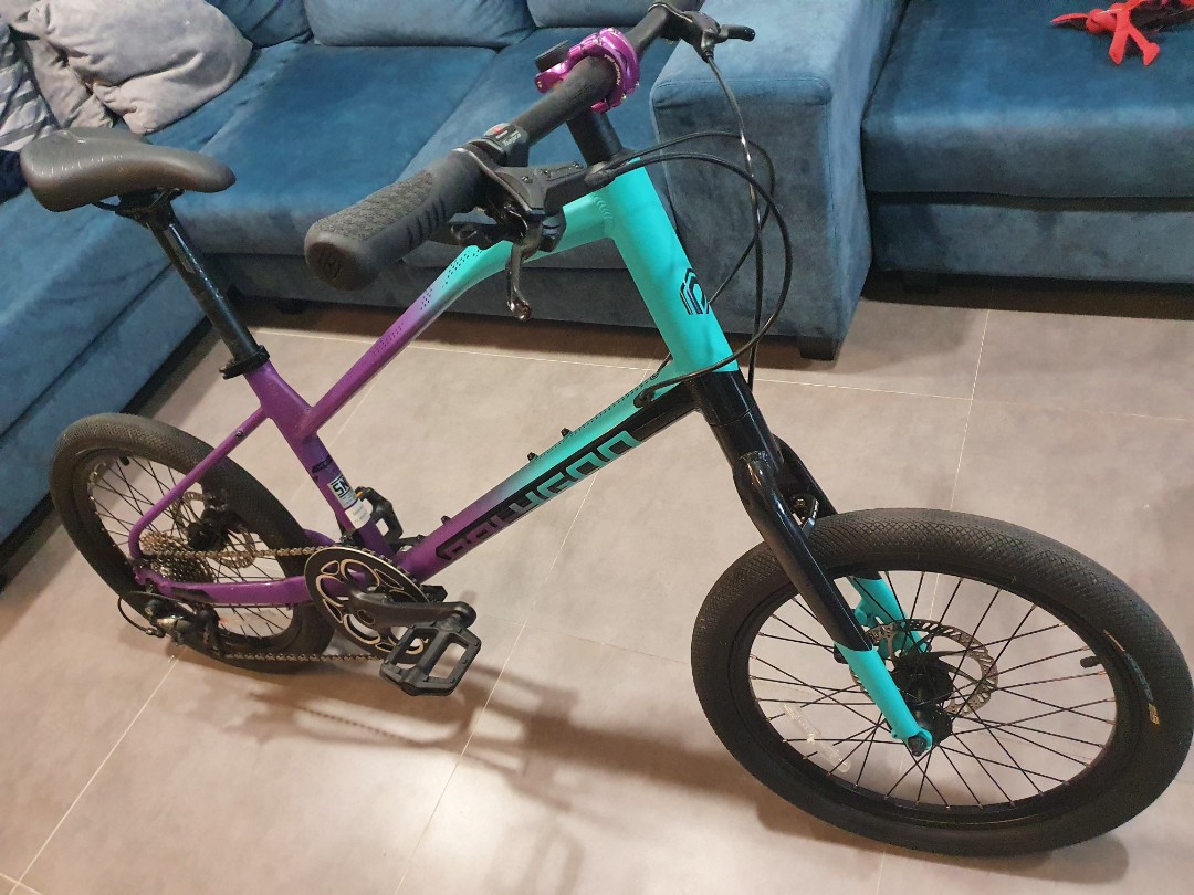 Minivelo polygon shop