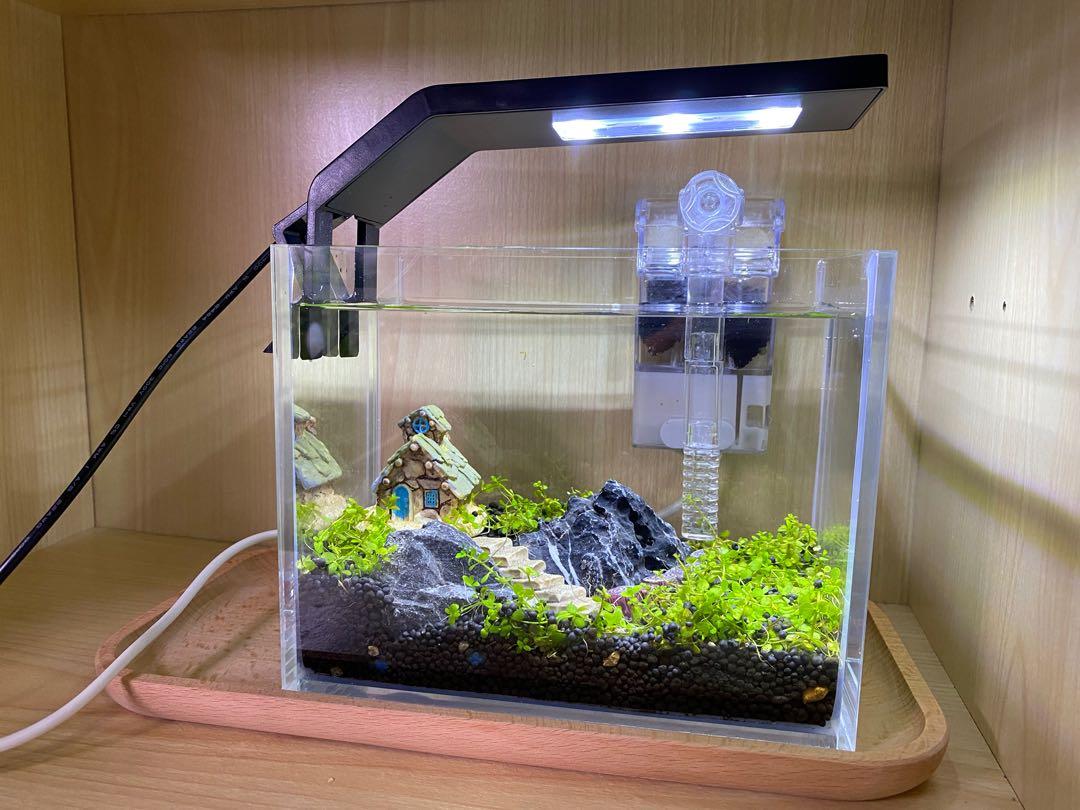 16x10x13 小型桌面水草魚缸 全套連造景 日式木托盤 4件實用工具 燈款自選 Aquascape Nano Fish Tank 生態缸自然缸草缸風水缸擺設懶人魚缸可養魚蝦不需co2 寵物用品 寵物家品及其他