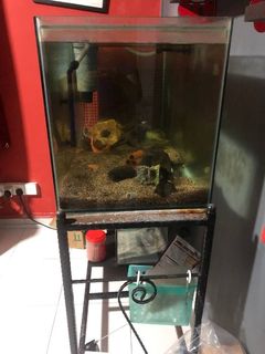 (Category: ) located in . Submitted by iceasn (Listing ID 1158164270, Image 1). Description: .
