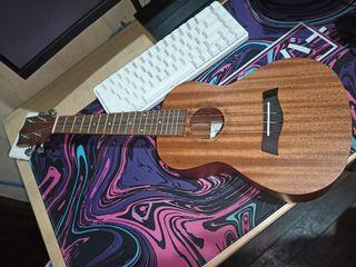 Concert Ukelele (Baltimore) - With Case and Extra Strings