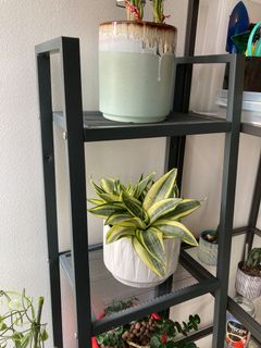 (Category: ) located in . Submitted by shoehan (Listing ID 1158114736, Image 1). Description: .