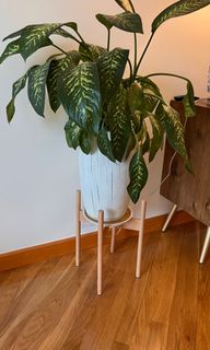 （分類：）位於 。 由 jcd211 提交（商品編號 1158017213，圖片 1）。簡介： 。
