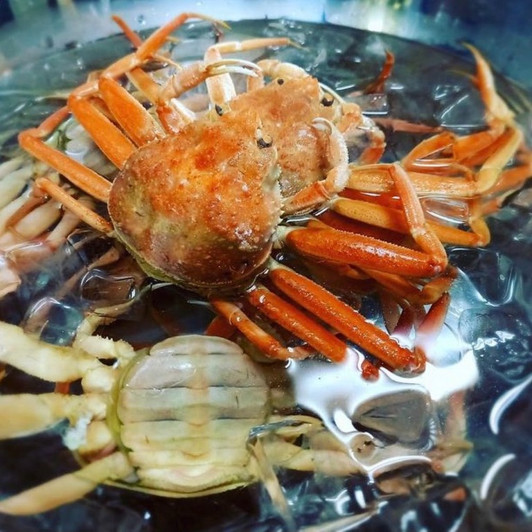 香箱蟹活品 稀有品 原箱3kg 約9 15隻 嘢食 嘢飲 新鮮食品 Carousell
