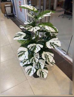 Artificial plants