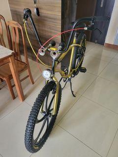 Colby cruiser with 7 speed shimano.