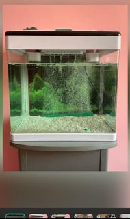 (Category: ) located in . Submitted by agilan26 (Listing ID 1153106676, Image 1). Description: .