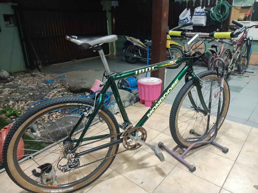 Mongoose top iboc pro