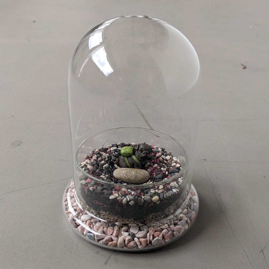 Terrarium Glass Dome (Includes Ornaments), Furniture & Home Living