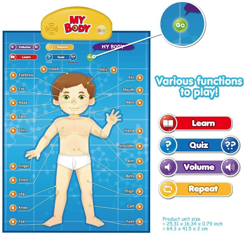 BEST LEARNING i-Poster My Body - Interactive Educational Human Anatomy ...