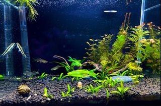 (Category: ) located in . Submitted by shensv (Listing ID 1153222787, Image 1). Description: .