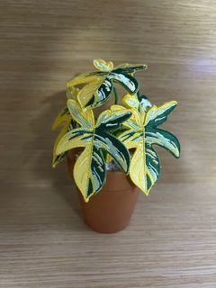 （分類：）位於 。 由 ccccc39 提交（商品編號 1153325880，圖片 1）。簡介： 。