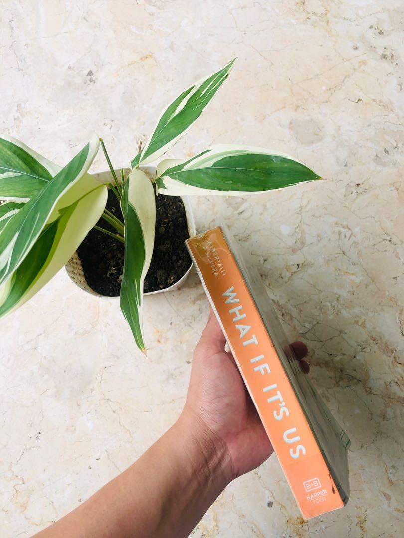 What If It’s Us (Category: Storybooks) located in Makati City. Submitted by Book_Shop_MNL (Listing ID 1153208640, Image 2). Description: Price is Negotiable Payment via GCash or BPI.