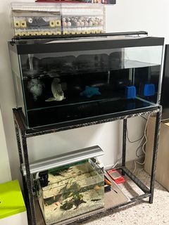 (Category: ) located in . Submitted by jpadua.com (Listing ID 1153495108, Image 1). Description: .