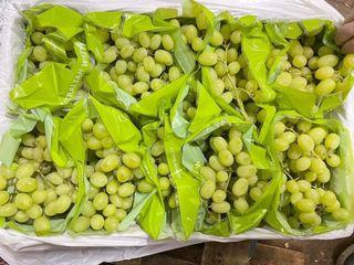 Australia Green Seedless Grapes 10pks 10kls