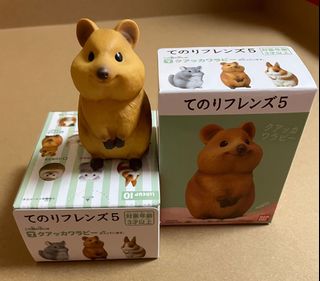（分類：）位於 。 由 pyc2902 提交（商品編號 1153526095，圖片 1）。簡介： 。