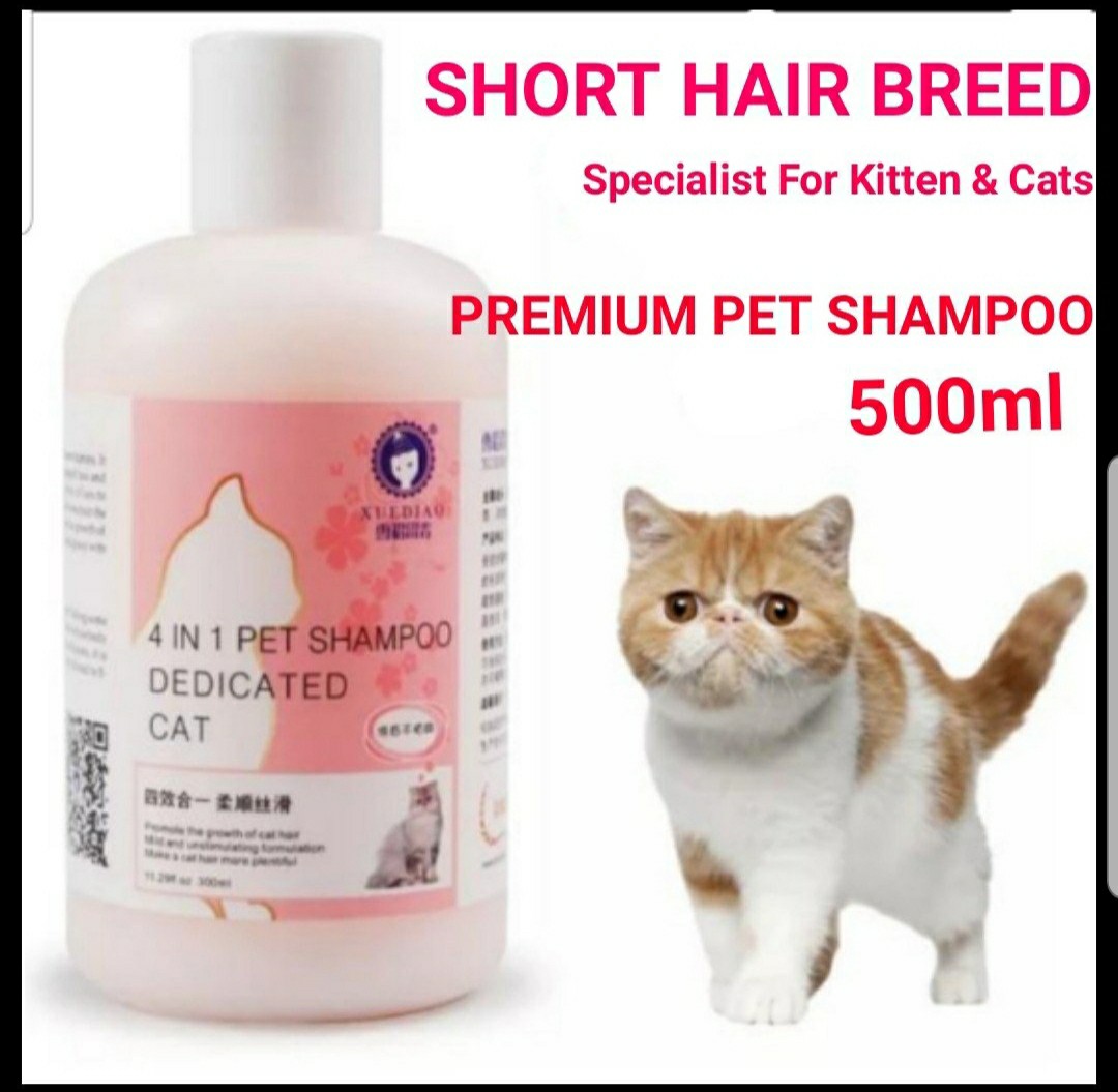 Best kitten shampoo sales