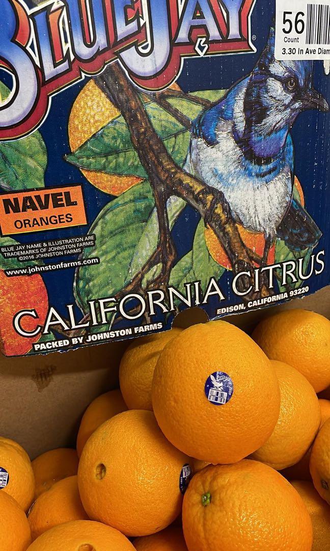 Buy Blue Jay Navel Orange (6 count)