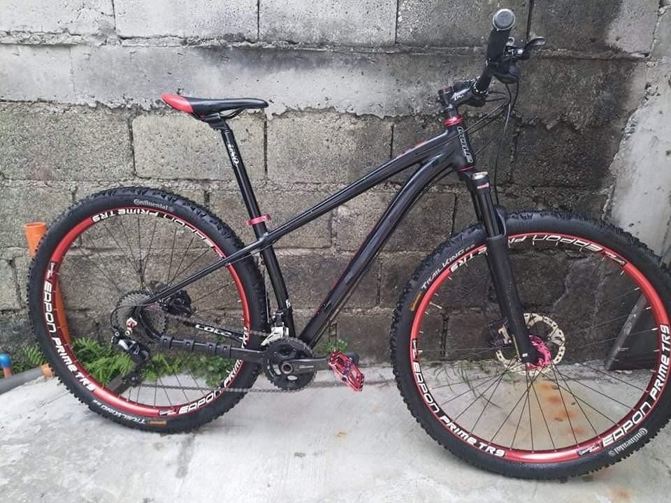 cole ibex 2.0 29er