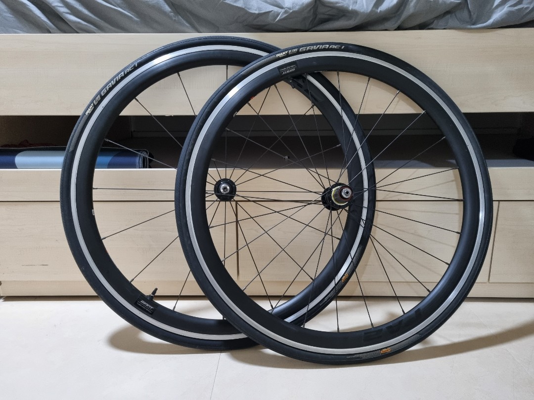 giant pa2 disc