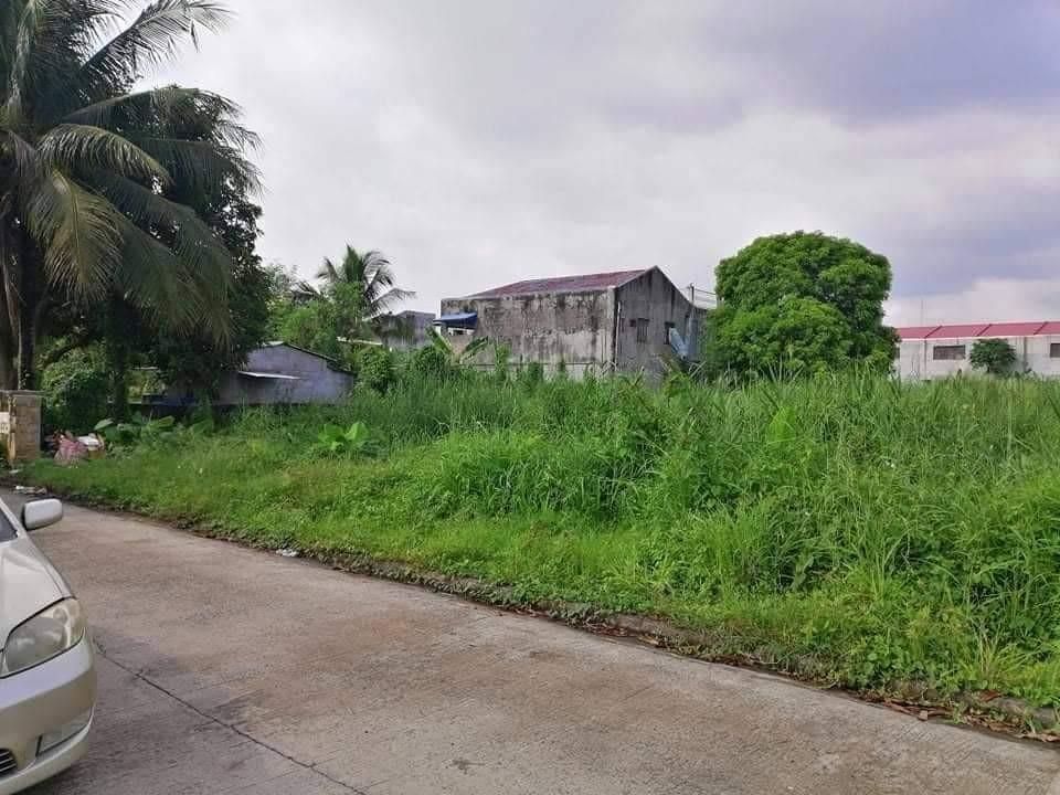 SPACIOUS LOT FOR SALE HALANG CALAMBA LAGUNA, Property, For Sale, Lot on