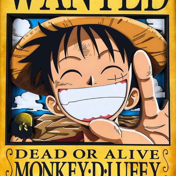 海賊王one Piece 草帽小子草帽海賊團船長蒙奇 D 路飛懸賞令立體畫 45cm 32 5cm 興趣及遊戲 玩具 遊戲類 Carousell