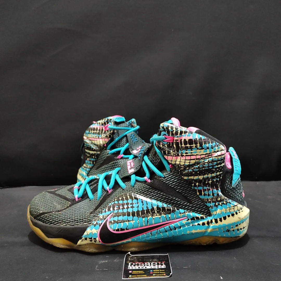 lebron 12 chromosomes for sale