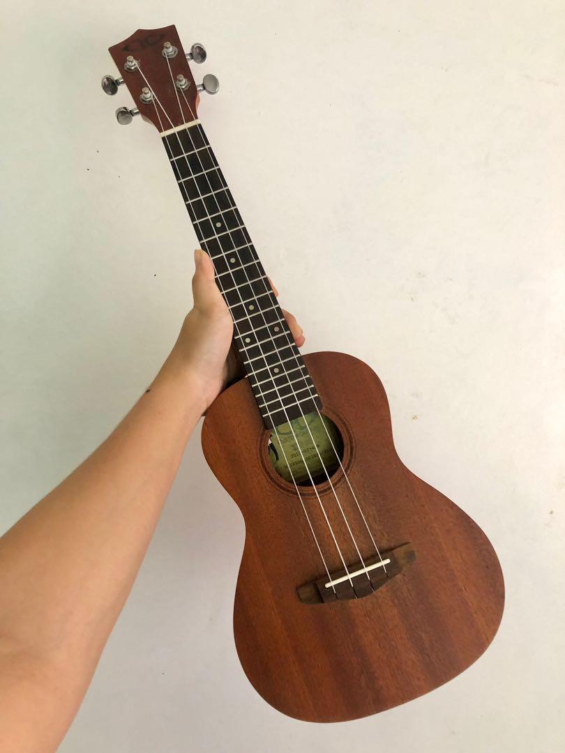 UKELELE D D custom made ukelele with concert pickup Hobbies