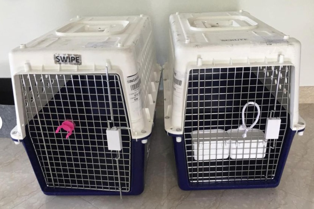 2 x airline approved animal crates S120 each, Pet Supplies, Homes