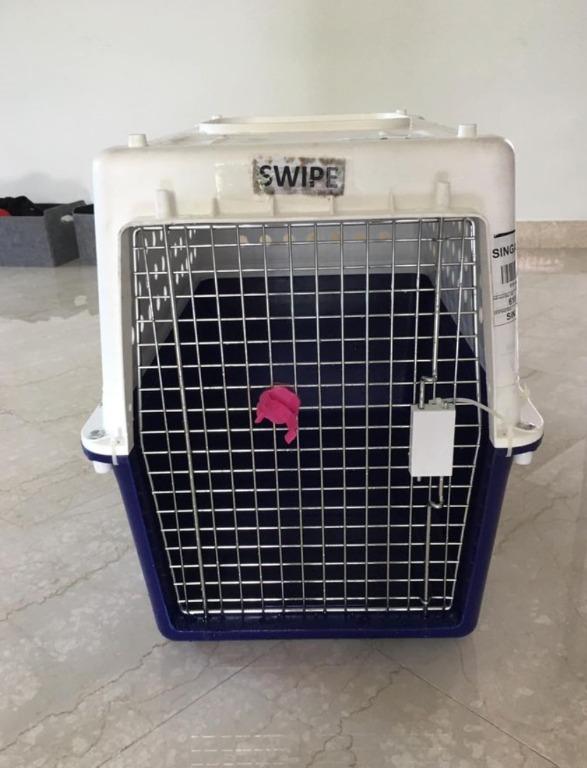 2 x airline approved animal crates S120 each, Pet Supplies, Homes