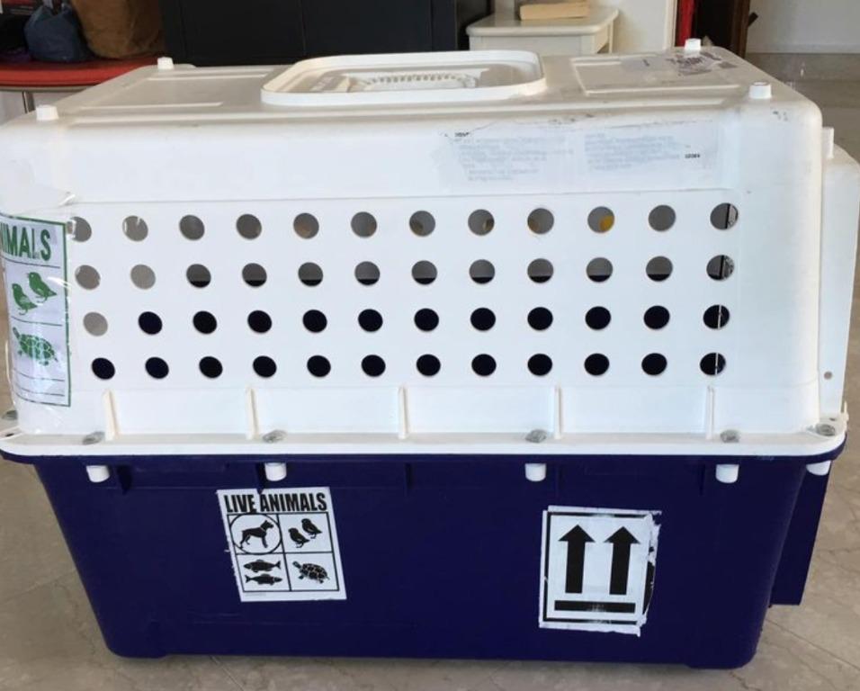 2 x airline approved animal crates S120 each, Pet Supplies, Homes