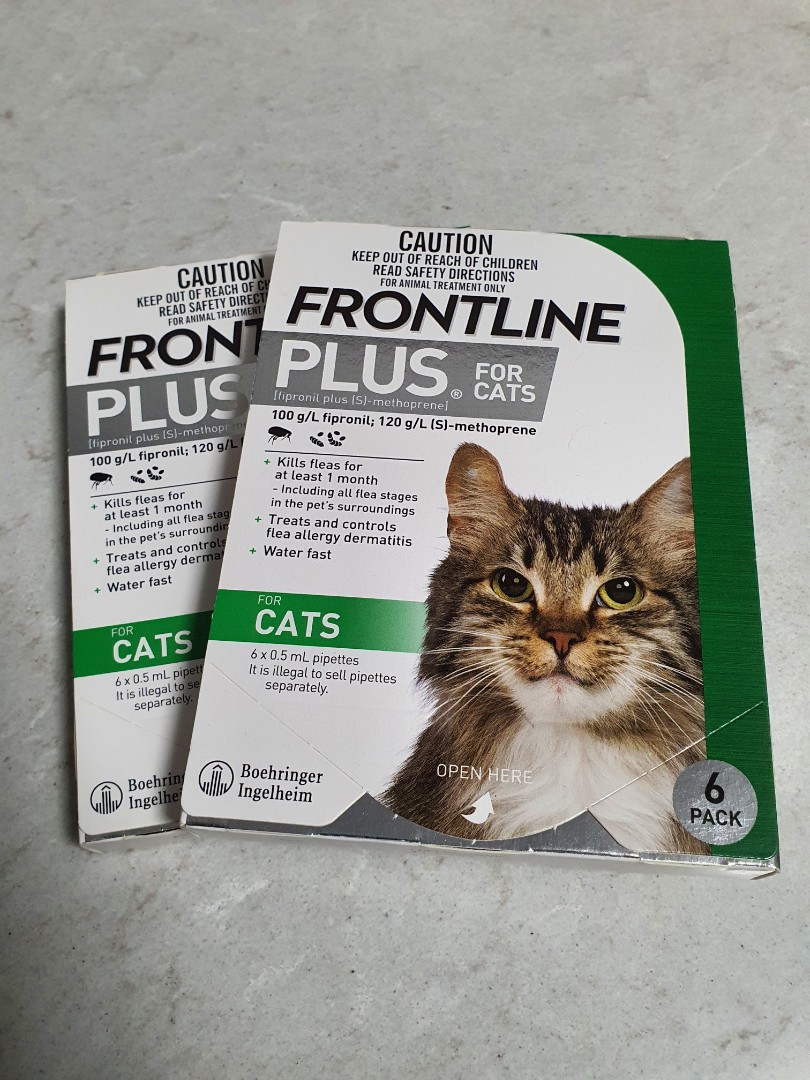 Frontline Plus for Cats Pack of 6 . Free local shipping Pet