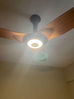 (Category: ) located in . Submitted by carnebore (Listing ID 1153565939, Image 1). Description: .