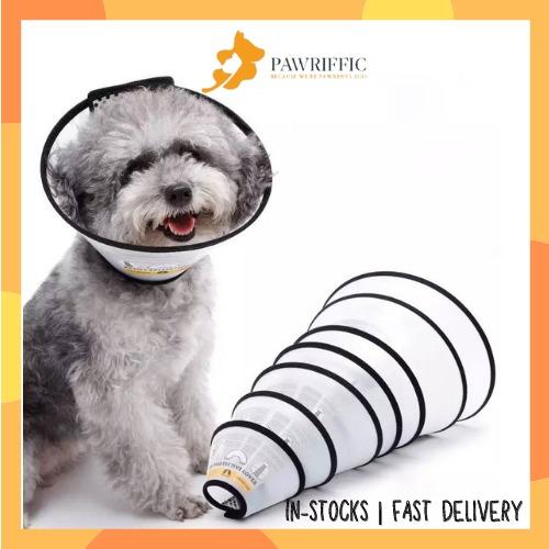 Dog plastic deals cone collar