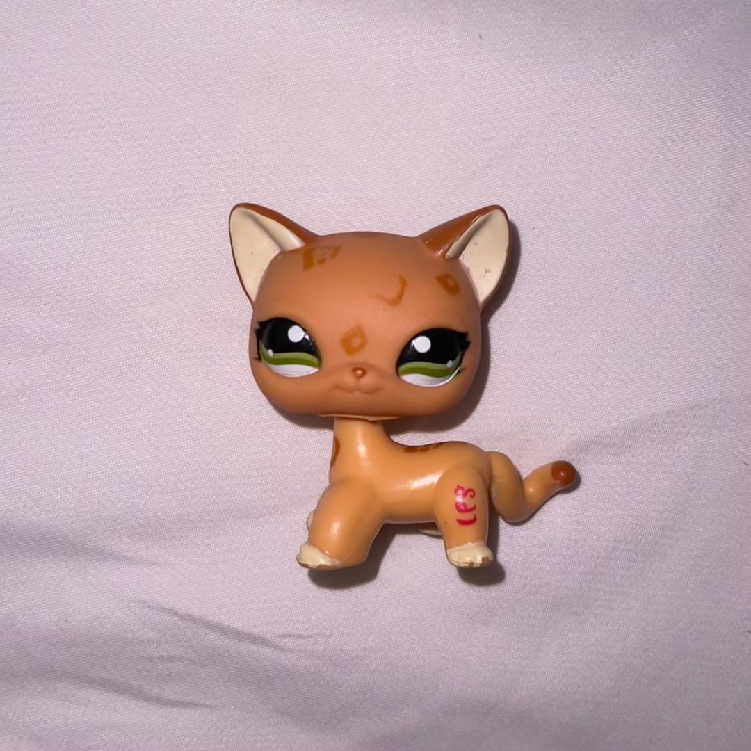 Lps discount shorthair 1120