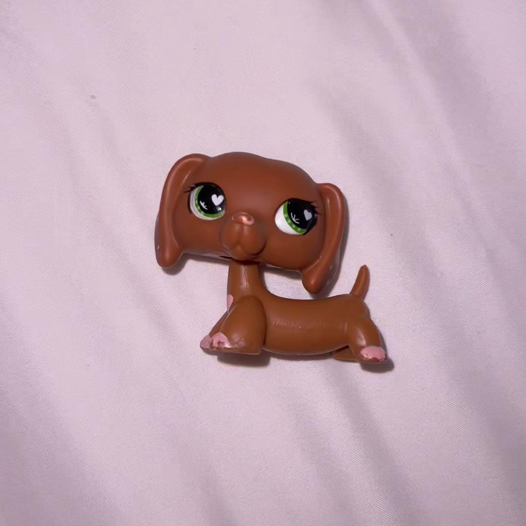 Littlest Pet Shop LPS#556 Brown Dachshund Dog toy W/Accessories 