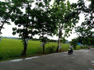 7 hectare Agricultural Lot in Plaridel Bulacan Good For Warehouse