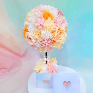 （分類：）位於 。 由 adds.blossomtime 提交（商品編號 1153866112，圖片 1）。簡介： 。
