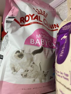 （分類：）位於 。 由 an_cccccc 提交（商品編號 1153840015，圖片 1）。簡介： 。