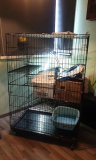 (Category: ) located in . Submitted by dann_r (Listing ID 1153772649, Image 1). Description: .