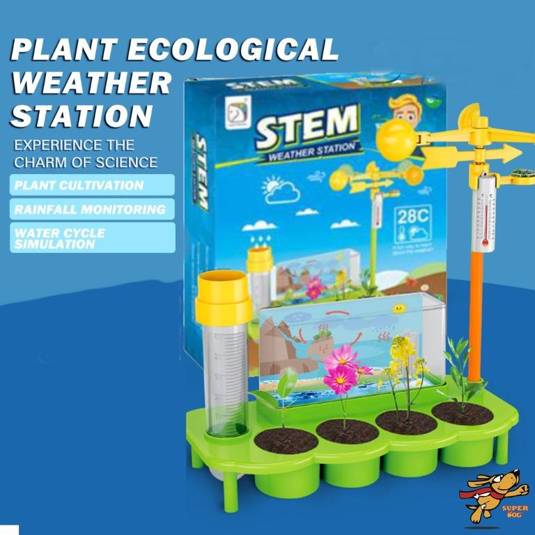 Ecological Weather Station toy Rain Volume DIY STEM Science Plant Plant Observation Natural