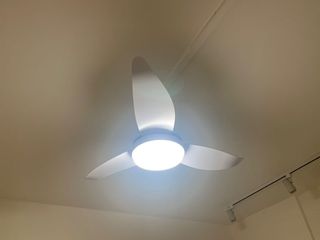(Category: ) located in . Submitted by berber06 (Listing ID 1153893209, Image 1). Description: .
